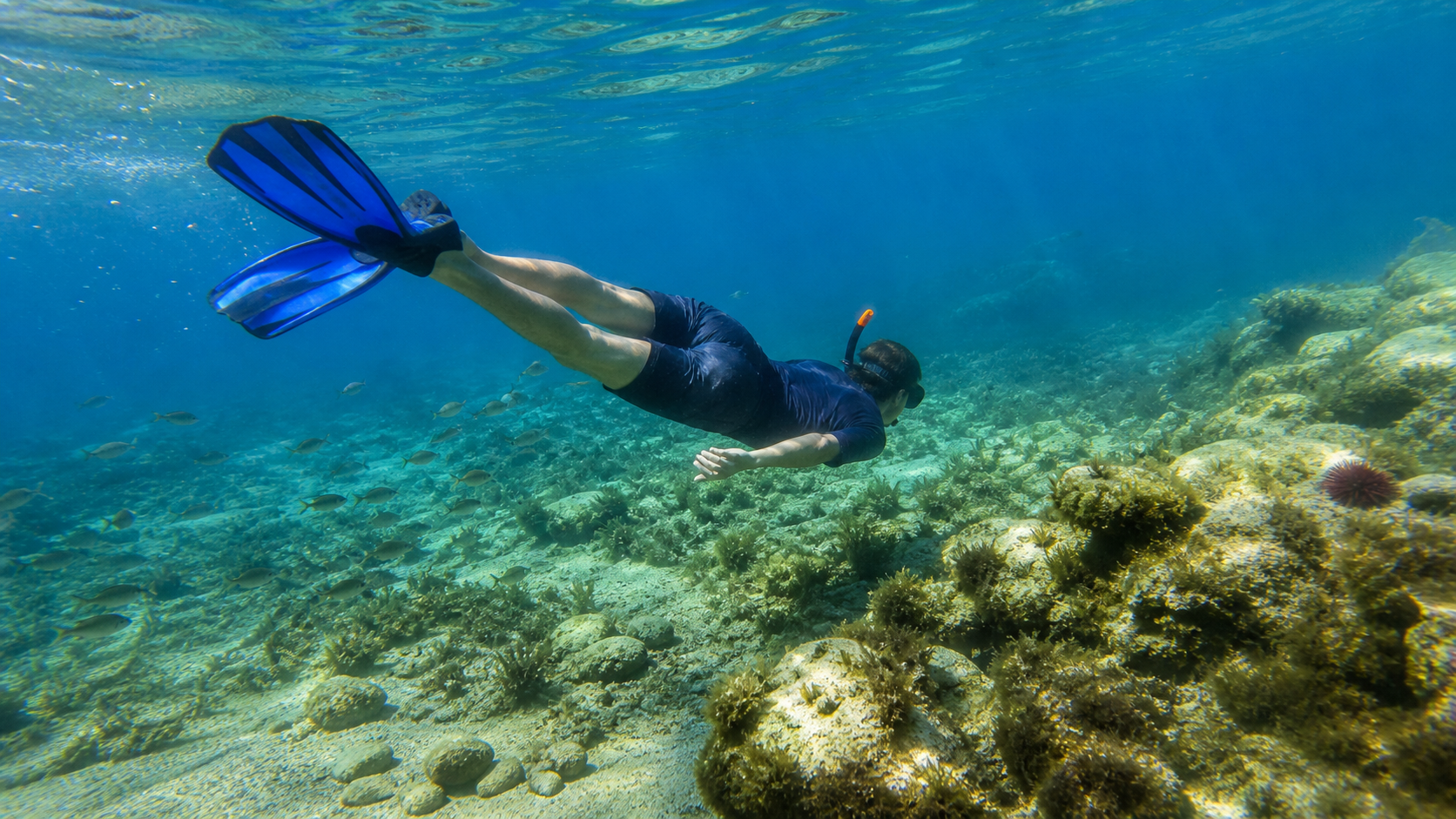 Maska šnorkel in plavutke oprema za snorkling